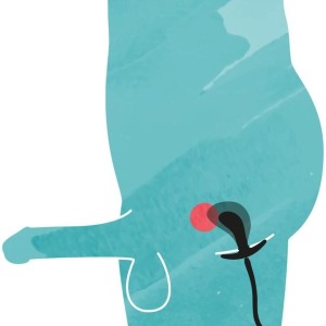 Plug gonflable Hayak 6 x 3cm Plug gonflable Hayak 6 x 3cm