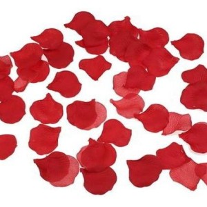 Fausses Pétales de Fleur x100 Rouge Fausses Pétales de Fleur x100 Rouge