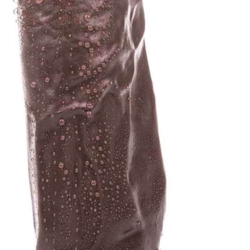 Gode HT25B Zac M 19 x 6.5 cm Marron Gode HT25B Zac M 19 x 6.5 cm Marron
